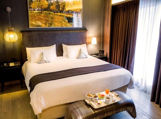Esplendor by Wyndham Plaza Francia